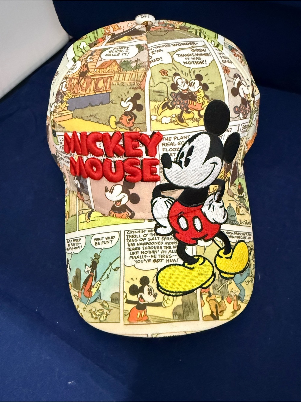 Disney Comic Strip Newsboy Cap